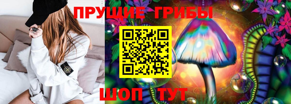 Галлюциногенные грибы GOLDEN TEACHER Новошахтинск